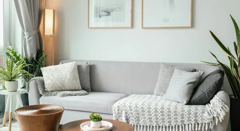 Clean, bright living room interior